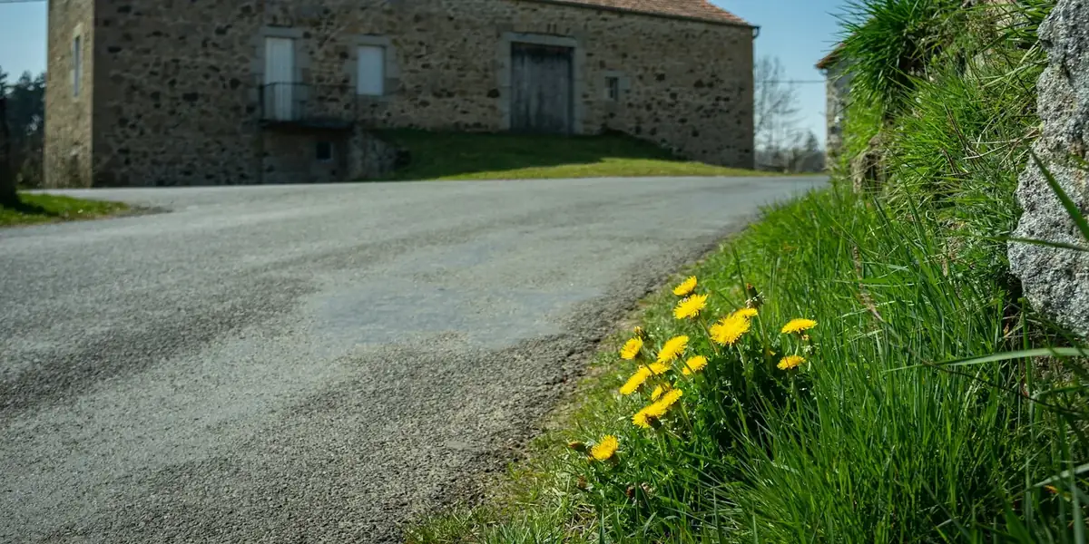 Route de campagne bordée de fleurs, grange en pierre