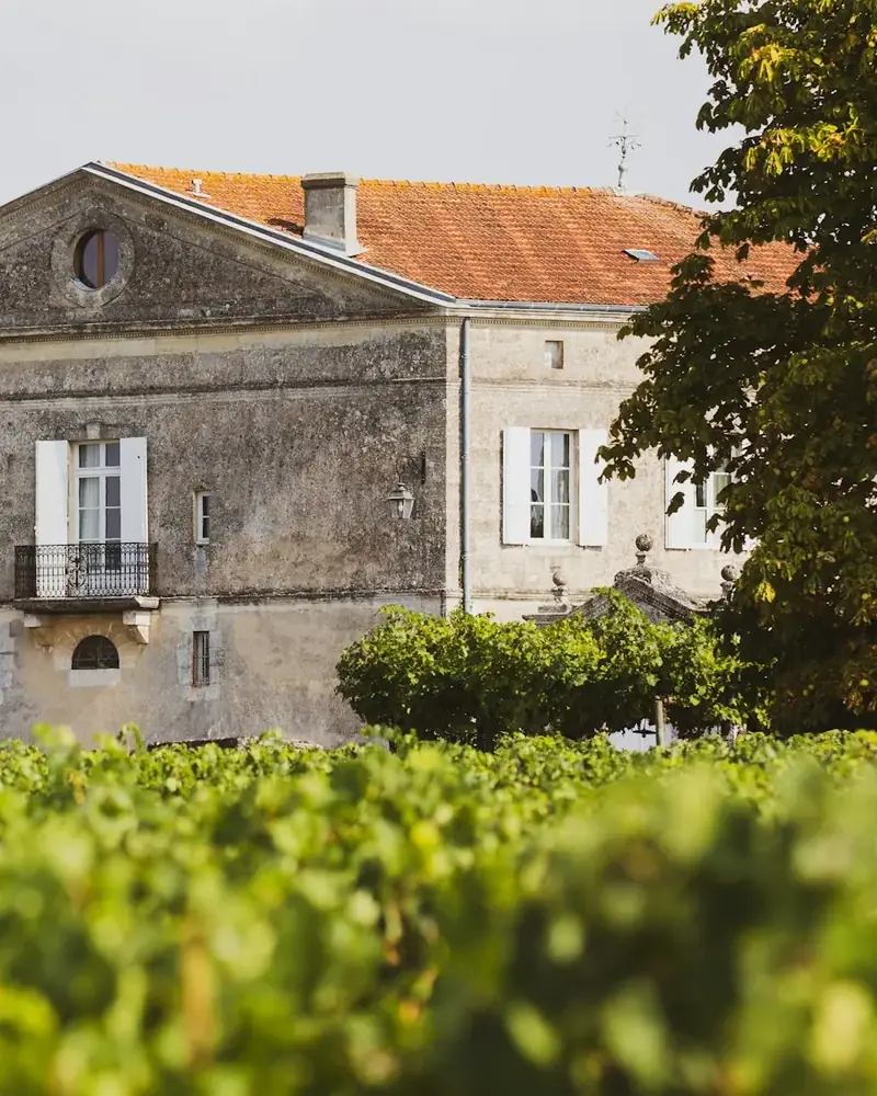 La bastide au milieu des vignes et des haies